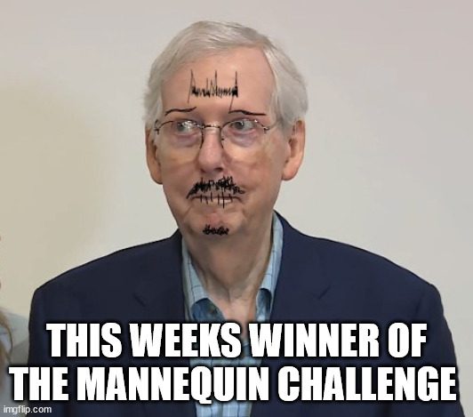 FREEZE! | THIS WEEKS WINNER OF THE MANNEQUIN CHALLENGE | image tagged in mitch mcconnell,frozen again,the marker of zero,trump's sharpie at work,maga,oil can | made w/ Imgflip meme maker