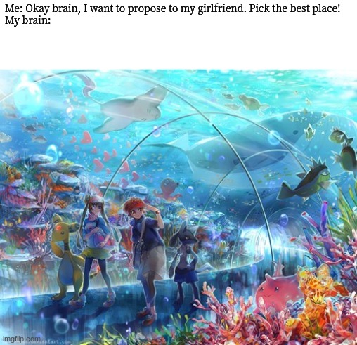 Pokemon Aquarium | Me: Okay brain, I want to propose to my girlfriend. Pick the best place!


My brain: | image tagged in pokemon,video games,love | made w/ Imgflip meme maker
