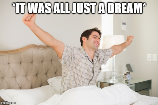 wake up | *IT WAS ALL JUST A DREAM* | image tagged in wake up | made w/ Imgflip meme maker