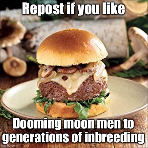 Very fun | Repost if you like; Dooming moon men to generations of inbreeding | image tagged in mooshroom burger | made w/ Imgflip meme maker