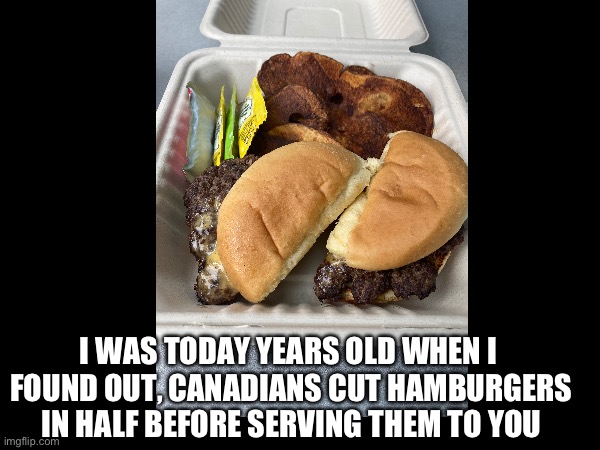 I WAS TODAY YEARS OLD WHEN I 
FOUND OUT, CANADIANS CUT HAMBURGERS IN HALF BEFORE SERVING THEM TO YOU | image tagged in canada,memes | made w/ Imgflip meme maker