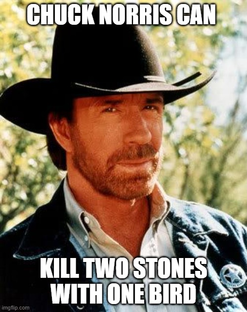 chuck norris can kill two stones with one bird | CHUCK NORRIS CAN; KILL TWO STONES WITH ONE BIRD | image tagged in memes,chuck norris | made w/ Imgflip meme maker