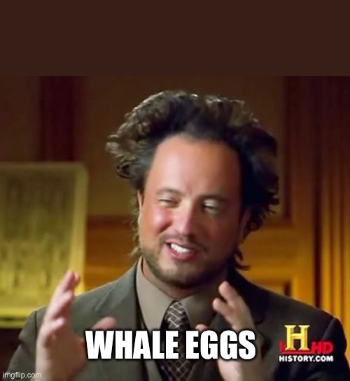 Ancient Aliens Meme | WHALE EGGS | image tagged in memes,ancient aliens | made w/ Imgflip meme maker