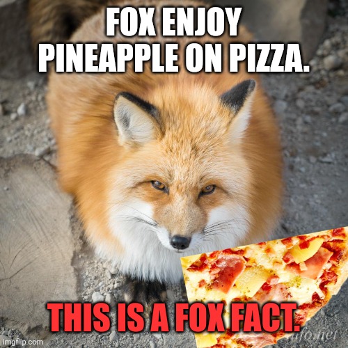 Fox facts | FOX ENJOY PINEAPPLE ON PIZZA. THIS IS A FOX FACT. | image tagged in important,fox,facts | made w/ Imgflip meme maker