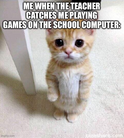 Cute Cat Meme | ME WHEN THE TEACHER CATCHES ME PLAYING GAMES ON THE SCHOOL COMPUTER: | image tagged in memes,cute cat | made w/ Imgflip meme maker