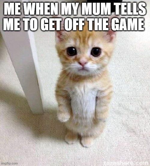 cute cat about games | ME WHEN MY MUM TELLS ME TO GET OFF THE GAME | image tagged in memes,cute cat,viral meme | made w/ Imgflip meme maker