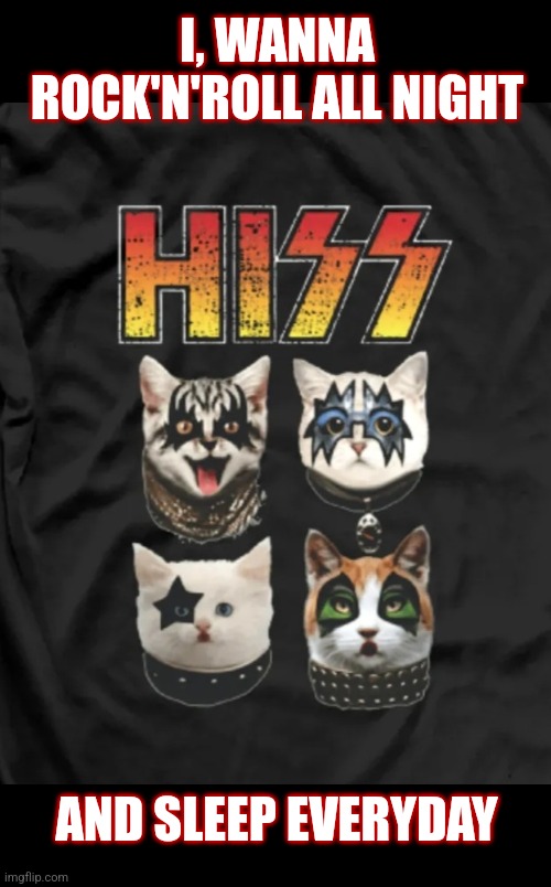 Lick it up | I, WANNA ROCK'N'ROLL ALL NIGHT; AND SLEEP EVERYDAY | image tagged in cats,kiss,funny cats,rock music | made w/ Imgflip meme maker