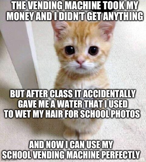 Blessing in disguise | THE VENDING MACHINE TOOK MY MONEY AND I DIDN’T GET ANYTHING; BUT AFTER CLASS IT ACCIDENTALLY GAVE ME A WATER THAT I USED TO WET MY HAIR FOR SCHOOL PHOTOS; AND NOW I CAN USE MY SCHOOL VENDING MACHINE PERFECTLY | image tagged in memes,cute cat | made w/ Imgflip meme maker