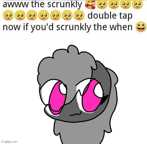 awww the skrunkly by tc | image tagged in awww the skrunkly by tc | made w/ Imgflip meme maker