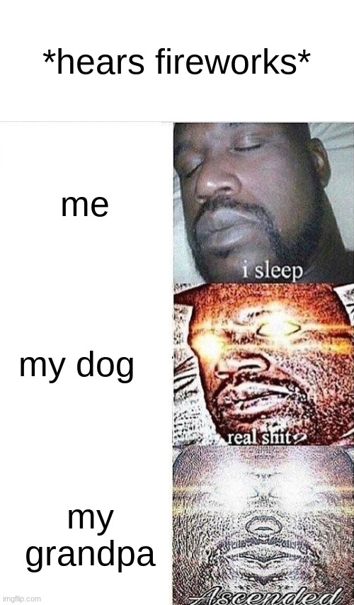 i dont need to explain | *hears fireworks*; me; my dog; my grandpa | image tagged in i sleep real shit ascended | made w/ Imgflip meme maker
