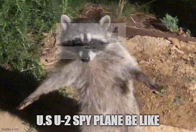 In 1961 the US sent a U-2 spy plane into the Soviet Union to ascertain what their missile capabilities were. They got their conf | U.S U-2 SPY PLANE BE LIKE | image tagged in history memes | made w/ Imgflip meme maker