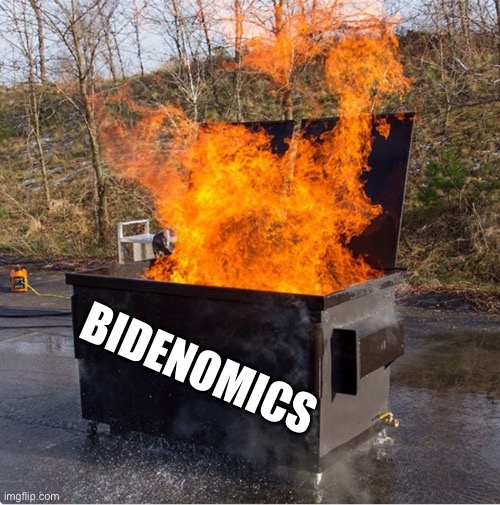 Democrats | BIDENOMICS | image tagged in dumpster fire | made w/ Imgflip meme maker