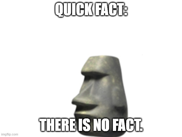 QUICK FACT:; THERE IS NO FACT. | made w/ Imgflip meme maker