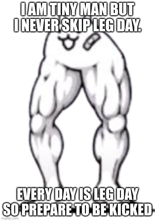 Mod note: This isnt warriors related, but it is a buff cat so eh, idc | I AM TINY MAN BUT I NEVER SKIP LEG DAY. EVERY DAY IS LEG DAY SO PREPARE TO BE KICKED | image tagged in li'l macho legs cat | made w/ Imgflip meme maker