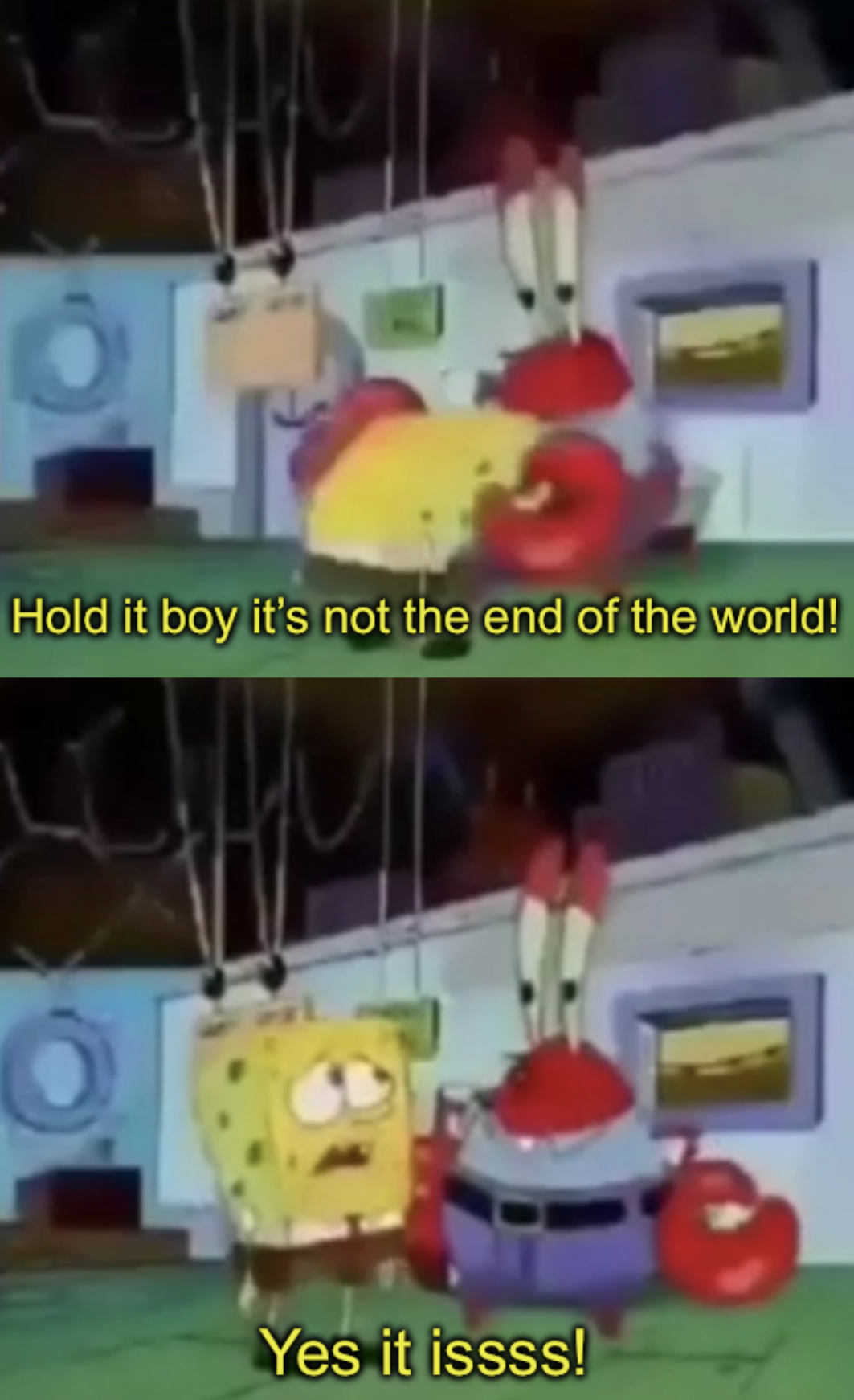 High Quality Hold it boy it’s not the end of the world Blank Meme Template
