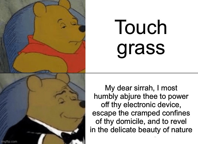 I most humbly abjure thee to notice the effort I have expended in creating this image that thou dost call a “meme” | Touch grass; My dear sirrah, I most humbly abjure thee to power off thy electronic device, escape the cramped confines of thy domicile, and to revel in the delicate beauty of nature | image tagged in memes,tuxedo winnie the pooh | made w/ Imgflip meme maker