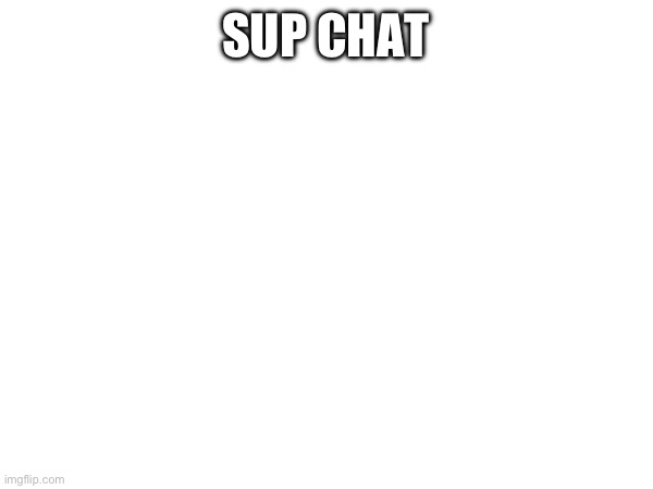 SUP CHAT | made w/ Imgflip meme maker
