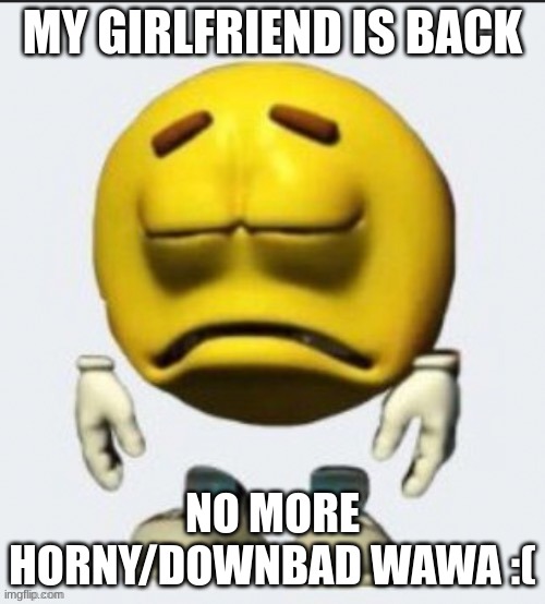 Sad emoji | MY GIRLFRIEND IS BACK; NO MORE HORNY/DOWNBAD WAWA :( | image tagged in sad emoji | made w/ Imgflip meme maker