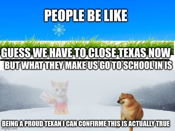 Top isnt true bottom is | PEOPLE BE LIKE; GUESS WE HAVE TO CLOSE TEXAS NOW; BUT WHAT THEY MAKE US GO TO SCHOOL IN IS; BEING A PROUD TEXAN I CAN CONFIRME THIS IS ACTUALLY TRUE | image tagged in snow,texas,true story | made w/ Imgflip meme maker
