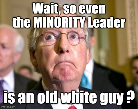 Seriously | Wait, so even
the MINORITY Leader; is an old white guy ? | image tagged in mitch mcconnell,minority leader,old white male | made w/ Imgflip meme maker