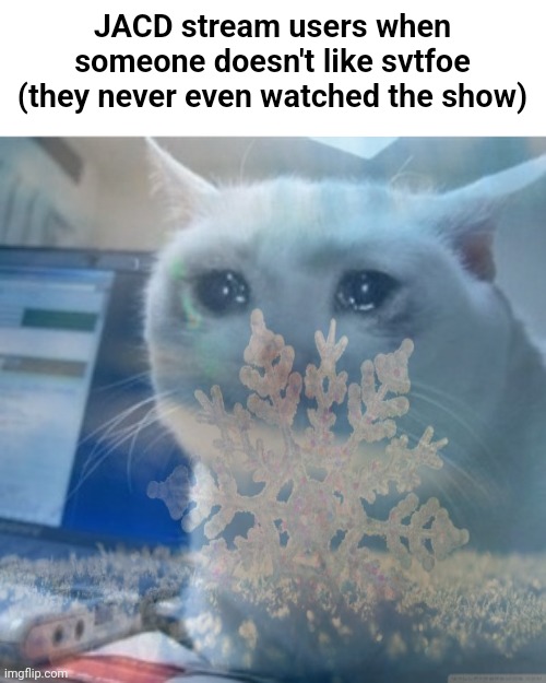 Crying cat | JACD stream users when someone doesn't like svtfoe (they never even watched the show) | image tagged in crying cat | made w/ Imgflip meme maker
