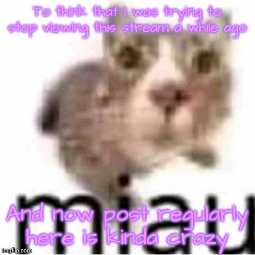 miau | To think that I was trying to stop viewing this stream a while ago; And now post regularly here is kinda crazy | made w/ Imgflip meme maker