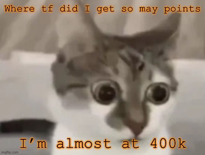 in shock cat 2 | Where tf did I get so may points; I’m almost at 400k | image tagged in in shock cat 2 | made w/ Imgflip meme maker