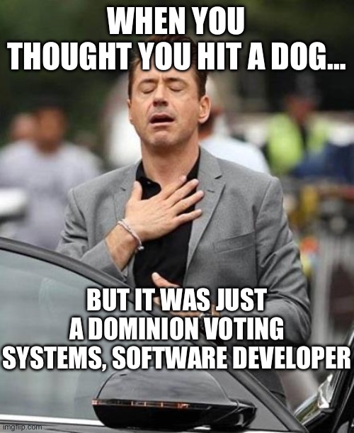 Robert Downy Jr | WHEN YOU THOUGHT YOU HIT A DOG…; BUT IT WAS JUST A DOMINION VOTING SYSTEMS, SOFTWARE DEVELOPER | image tagged in robert downey jr,voting,maga,donald trump,gop,republicans | made w/ Imgflip meme maker
