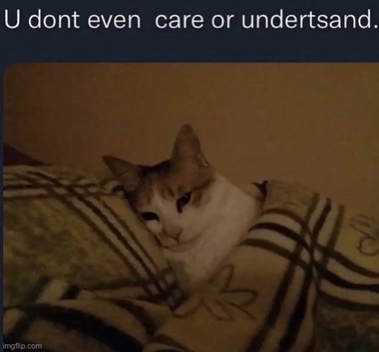 Template I made | image tagged in you don t even care or understand,cats,funny | made w/ Imgflip meme maker
