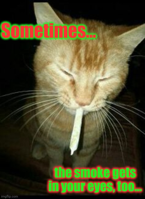 cat smoker | Sometimes... the smoke gets in your eyes, too... | image tagged in cat smoker | made w/ Imgflip meme maker