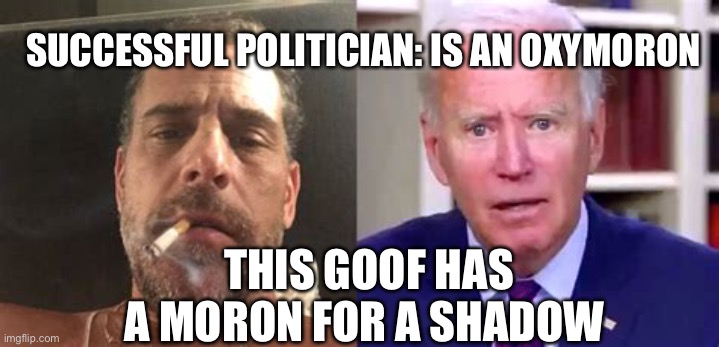 Democratic President and the smartest man he knows | SUCCESSFUL POLITICIAN: IS AN OXYMORON; THIS GOOF HAS A MORON FOR A SHADOW | image tagged in biden brand,biden,moron,incompetence,corrupt,dementia | made w/ Imgflip meme maker