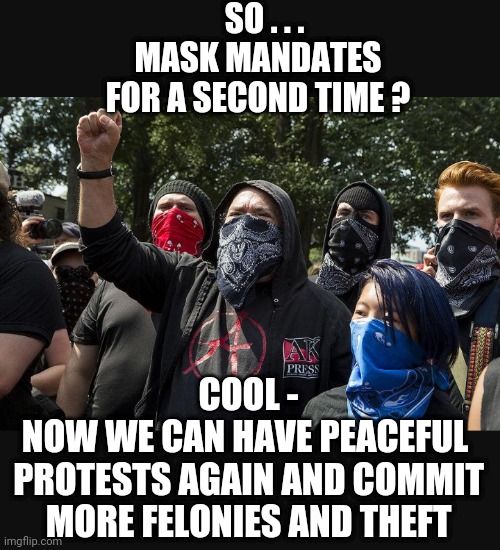 Leftist Work Plan | SO . . .
MASK MANDATES FOR A SECOND TIME ? COOL -
NOW WE CAN HAVE PEACEFUL 
PROTESTS AGAIN AND COMMIT MORE FELONIES AND THEFT | image tagged in liberals,leftists,democrats,antifa,2024,lockdown | made w/ Imgflip meme maker