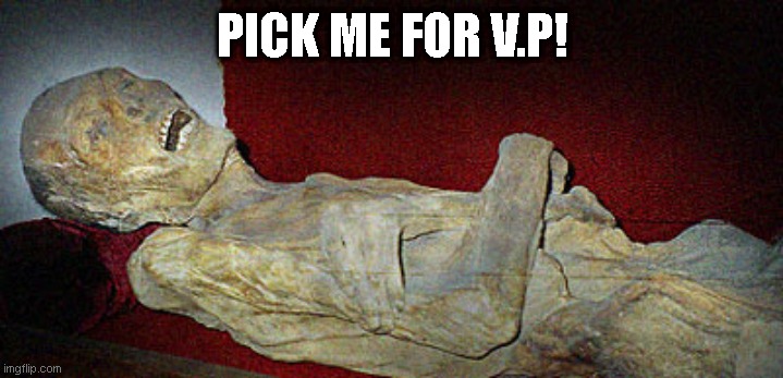 Mummy  | PICK ME FOR V.P! | image tagged in mummy | made w/ Imgflip meme maker