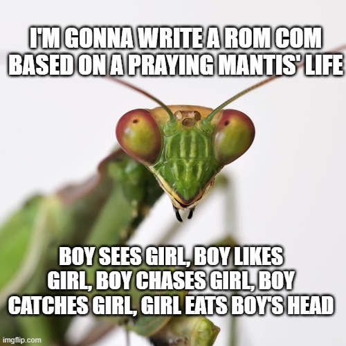 Praying mantis | I'M GONNA WRITE A ROM COM BASED ON A PRAYING MANTIS' LIFE; BOY SEES GIRL, BOY LIKES GIRL, BOY CHASES GIRL, BOY CATCHES GIRL, GIRL EATS BOY'S HEAD | image tagged in food,love | made w/ Imgflip meme maker