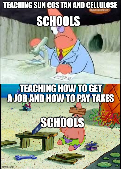 Why though | SCHOOLS; TEACHING SIN COS TAN AND CELLULOSE; TEACHING HOW TO GET A JOB AND HOW TO PAY TAXES; SCHOOLS | image tagged in patrick smart dumb | made w/ Imgflip meme maker