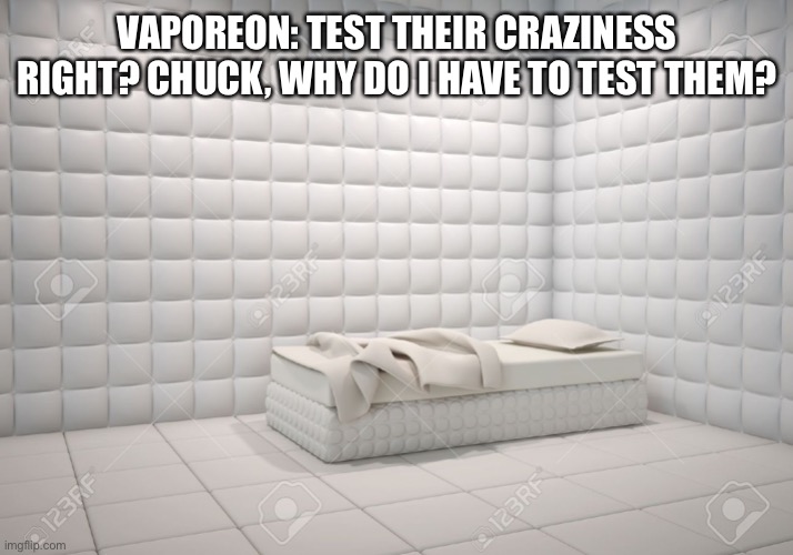 Testing craziness | VAPOREON: TEST THEIR CRAZINESS RIGHT? CHUCK, WHY DO I HAVE TO TEST THEM? | image tagged in padded room | made w/ Imgflip meme maker