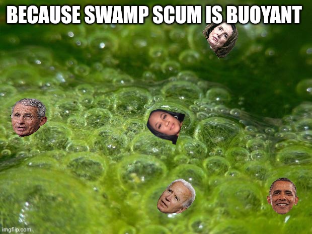 Unpopular Opinion Pond Scum | BECAUSE SWAMP SCUM IS BUOYANT | image tagged in unpopular opinion pond scum | made w/ Imgflip meme maker