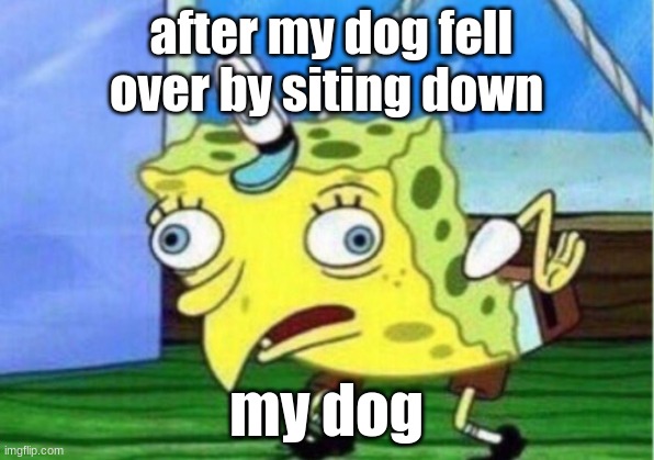 Mocking Spongebob | after my dog fell over by siting down; my dog | image tagged in memes,mocking spongebob | made w/ Imgflip meme maker