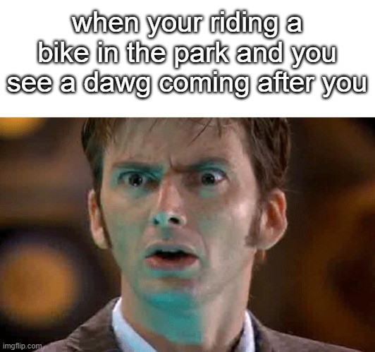 yes | when your riding a bike in the park and you see a dawg coming after you | image tagged in david tennant scared face,memes | made w/ Imgflip meme maker