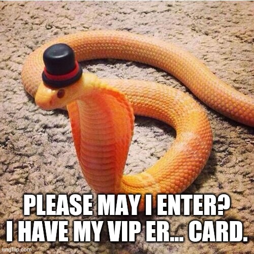 Dapper Snek | PLEASE MAY I ENTER? I HAVE MY VIP ER... CARD. | image tagged in dapper snek | made w/ Imgflip meme maker