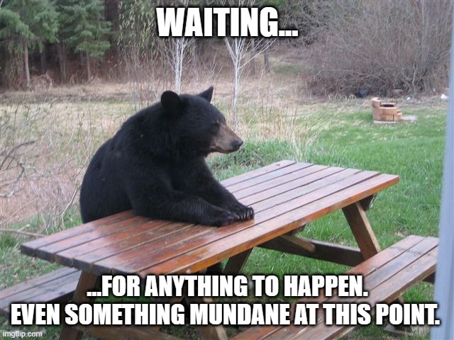 anything. | WAITING... ...FOR ANYTHING TO HAPPEN. EVEN SOMETHING MUNDANE AT THIS POINT. | image tagged in patient bear,anything | made w/ Imgflip meme maker
