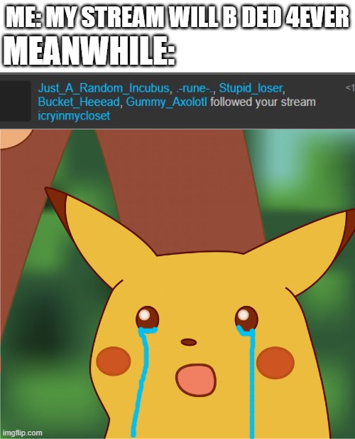 thank you guys soo much!!! | ME: MY STREAM WILL B DED 4EVER; MEANWHILE: | image tagged in surprised pikachu high quality | made w/ Imgflip meme maker