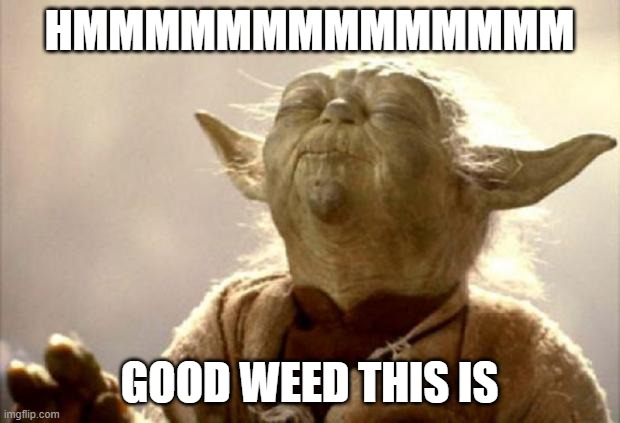 yoda smell | HMMMMMMMMMMMMMM; GOOD WEED THIS IS | image tagged in yoda smell | made w/ Imgflip meme maker