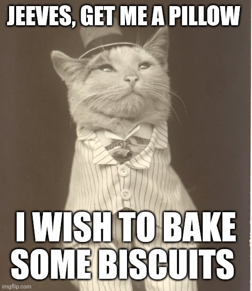 Only cat people will understand (I hope) | JEEVES, GET ME A PILLOW; I WISH TO BAKE SOME BISCUITS | image tagged in aristocat,cat,cats,pillow | made w/ Imgflip meme maker