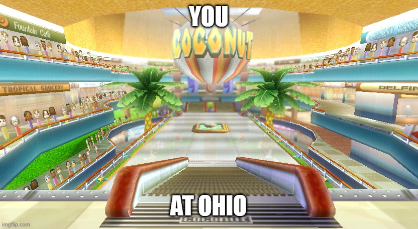 idk | YOU; AT OHIO | image tagged in coconut mall,fallout hold up | made w/ Imgflip meme maker