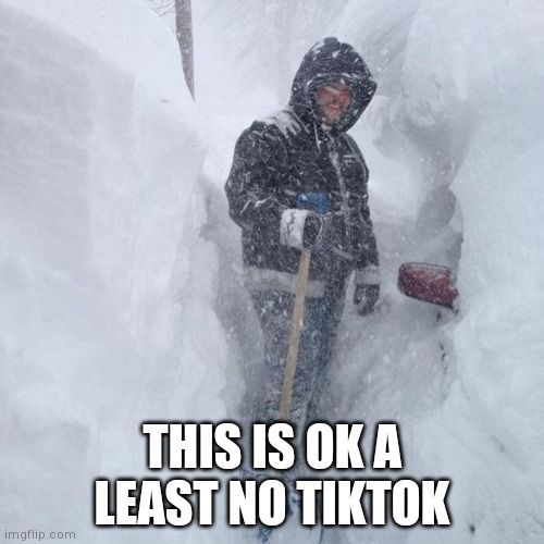 SNOW!!! | THIS IS OK A LEAST NO TIKTOK | image tagged in snow | made w/ Imgflip meme maker