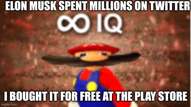 Infinite IQ | ELON MUSK SPENT MILLIONS ON TWITTER; I BOUGHT IT FOR FREE AT THE PLAY STORE | image tagged in infinite iq | made w/ Imgflip meme maker