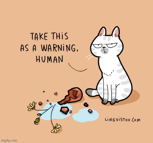 A Cat's Way Of Thinking | image tagged in memes,comics/cartoons,cats,warning,human,take that | made w/ Imgflip meme maker