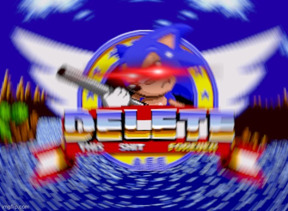 Sonic Delete This Shit | image tagged in sonic delete this shit | made w/ Imgflip meme maker