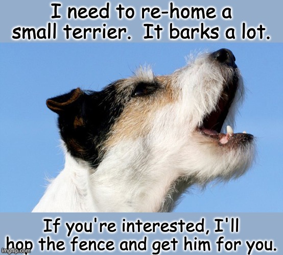 Terrier | I need to re-home a small terrier.  It barks a lot. If you're interested, I'll hop the fence and get him for you. | image tagged in dad joke | made w/ Imgflip meme maker